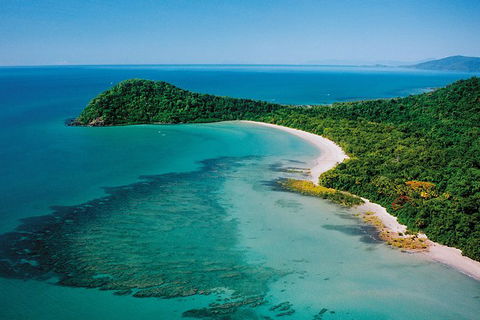 Daintree Rainforest, Cape Tribulation, Mossman Gorge In A Day - Accommodation Resorts 6