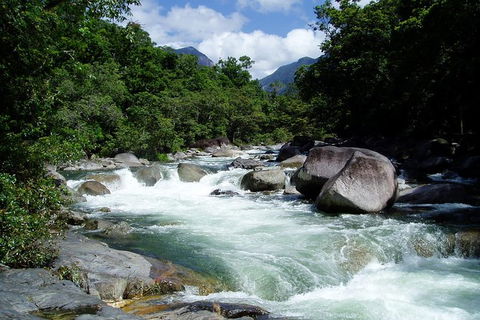 Daintree Rainforest, Cape Tribulation, Mossman Gorge In A Day - Accommodation Resorts 2