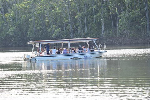 Daintree - Cape Tribulation & Atherton Tablelands Tours From Port Douglas - Accommodation Resorts 16