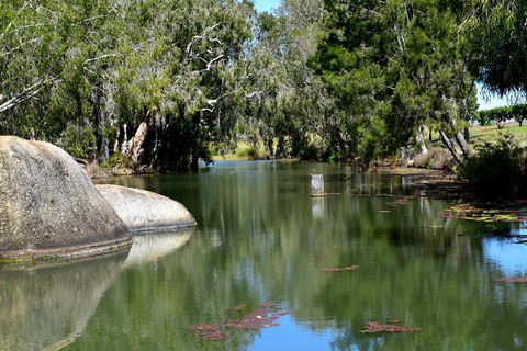 Daintree - Cape Tribulation & Atherton Tablelands Tours From Port Douglas - Accommodation Resorts 28