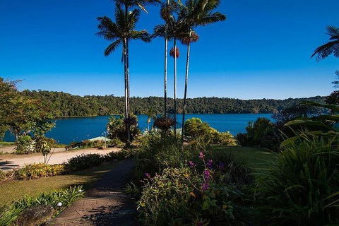 Daintree - Cape Tribulation & Atherton Tablelands Tours From Port Douglas - Accommodation Resorts 25