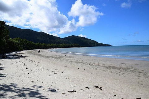 Daintree - Cape Tribulation & Atherton Tablelands Tours From Port Douglas - Accommodation Resorts 18