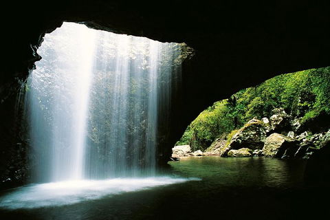 World Heritage Springbrook National Park Tour Including Natural Bridge - Accommodation Resorts 0
