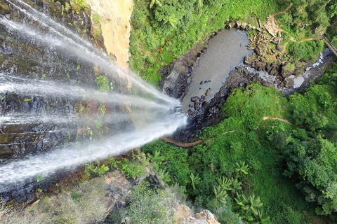 World Heritage Springbrook National Park Tour Including Natural Bridge - Accommodation Resorts 6