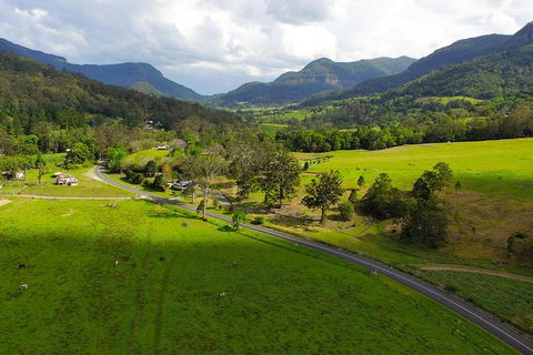 World Heritage Springbrook National Park Tour Including Natural Bridge - Accommodation Resorts 4