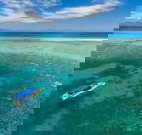 Ocean Safari Great Barrier Reef Experience in Cape Tribulation - Accommodation Resorts