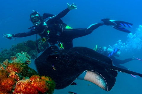 Scuba Dive The S.S. Yongala Wreck On The Great Barrier Reef. - Accommodation Resorts 1