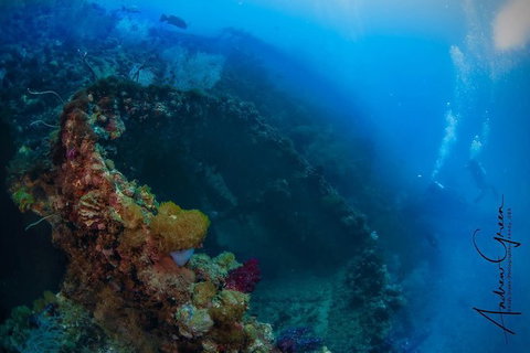 Scuba Dive The S.S. Yongala Wreck On The Great Barrier Reef. - Accommodation Resorts 3