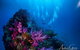 Scuba Dive The S.S. Yongala Wreck On The Great Barrier Reef. - thumb 2
