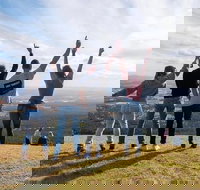 Full Day Mount Tamborine Winery Tour from Gold Coast - Accommodation Resorts