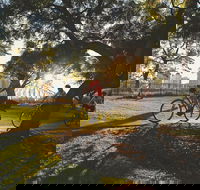 Brisbane Bike Tour - Accommodation Resorts