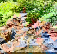 Mount Tamborine Wine Tasting Tour from Brisbane or the Gold Coast - Accommodation Resorts