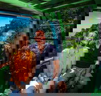 Skyrail Rainforest Cableway Day Trip from Palm Cove - Accommodation Resorts