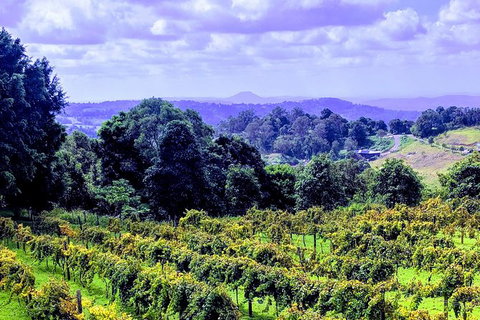 Queensland Food Tour: Farm-to-Table Indulgence - Accommodation Resorts 6