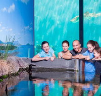 Reef HQ Great Barrier Reef Aquarium General Entry Ticket - Accommodation Resorts