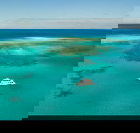 Great Barrier Reef Dive and Snorkel Cruise from Mission Beach - Accommodation Resorts
