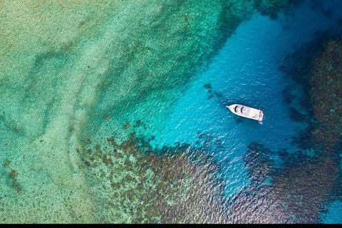 Great Barrier Reef Dive And Snorkel Cruise From Mission Beach - Accommodation Resorts 3