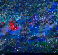 Infinity Attraction in Queensland Admission Ticket - Accommodation Resorts