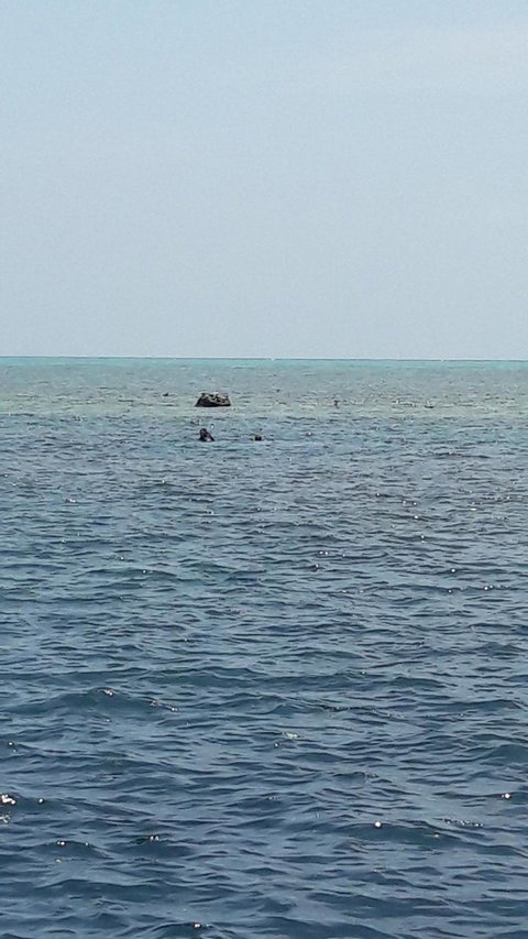 Great Barrier Reef Cruise From Townsville Or Magnetic Island - Accommodation Resorts 2