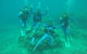 Great Barrier Reef Cruise From Townsville Or Magnetic Island - thumb 5
