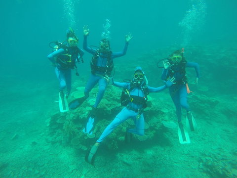 Great Barrier Reef Cruise From Townsville Or Magnetic Island - Accommodation Resorts 5
