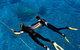 Great Barrier Reef Cruise From Townsville Or Magnetic Island - thumb 1