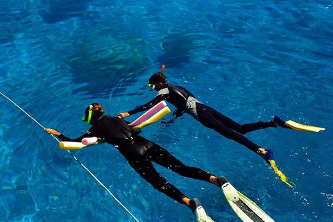 Great Barrier Reef Cruise From Townsville Or Magnetic Island - Accommodation Resorts 1