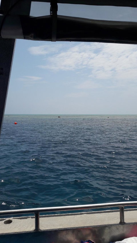 Great Barrier Reef Cruise From Townsville Or Magnetic Island - Accommodation Resorts 3
