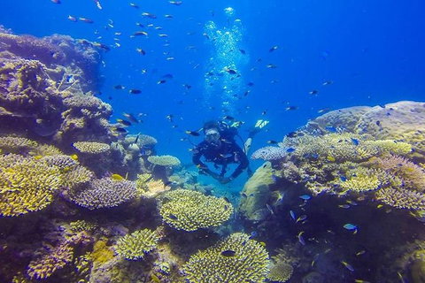 Great Barrier Reef Cruise From Townsville Or Magnetic Island - Accommodation Resorts 12
