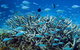 Great Barrier Reef Cruise From Townsville Or Magnetic Island - thumb 14