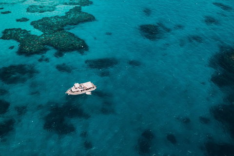 Great Barrier Reef Cruise From Townsville Or Magnetic Island - Accommodation Resorts 7