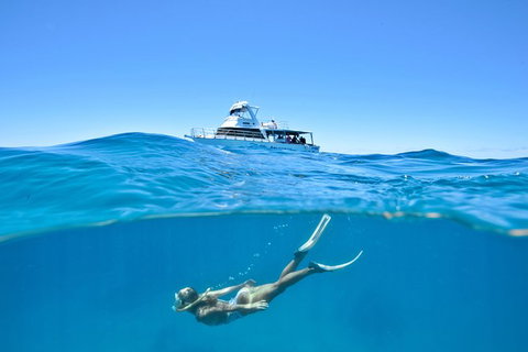 Great Barrier Reef Cruise From Townsville Or Magnetic Island - Accommodation Resorts 10