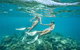 Great Barrier Reef Cruise From Townsville Or Magnetic Island - thumb 8