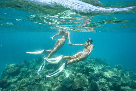 Great Barrier Reef Cruise From Townsville Or Magnetic Island - Accommodation Resorts 8