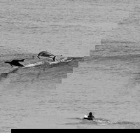 Overnight Tweed Coast Camping and Surfing Getaway From The Gold Coast - Accommodation Resorts