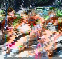 1770 CASTAWAY SURVIVOR 3 Day 2 Night Island Adventure Tour - Accommodation Resorts