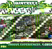 Daintree Atttractions Pass The Best of the Daintree in a Day - Accommodation Resorts