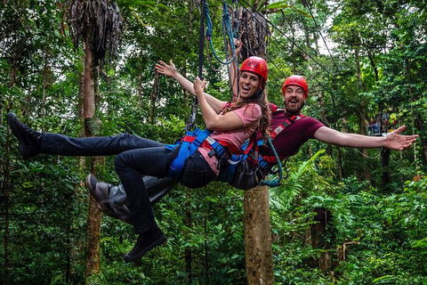 Daintree Atttractions Pass: The Best Of The Daintree In A Day - Accommodation Resorts 1