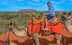 Uluru Small-Group Tour By Camel At Sunrise Or Sunset - thumb 14