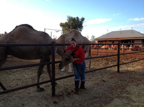 Uluru Small-Group Tour By Camel At Sunrise Or Sunset - Accommodation Resorts 21