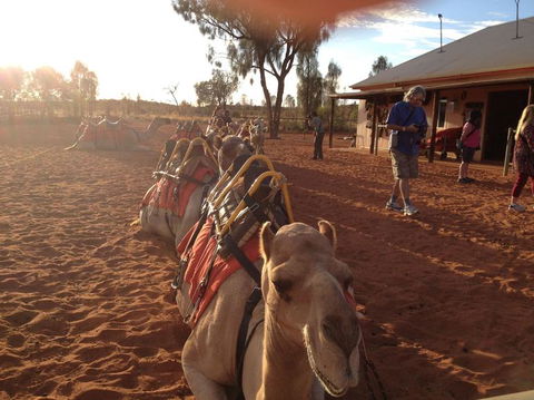 Uluru Small-Group Tour By Camel At Sunrise Or Sunset - Accommodation Resorts 22