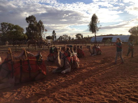 Uluru Small-Group Tour By Camel At Sunrise Or Sunset - Accommodation Resorts 23