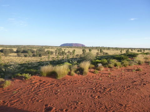 Uluru Small-Group Tour By Camel At Sunrise Or Sunset - Accommodation Resorts 9