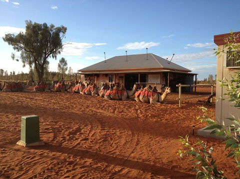 Uluru Small-Group Tour By Camel At Sunrise Or Sunset - Accommodation Resorts 19
