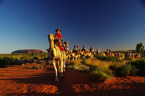 Uluru Small-Group Tour By Camel At Sunrise Or Sunset - Accommodation Resorts 29