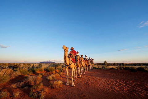 Uluru Small-Group Tour By Camel At Sunrise Or Sunset - Accommodation Resorts 26