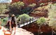 Kings Canyon Day Trip From Ayers Rock - thumb 19
