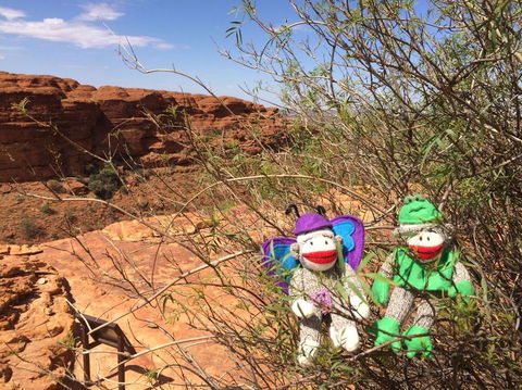 Kings Canyon Day Trip From Ayers Rock - Accommodation Resorts 23