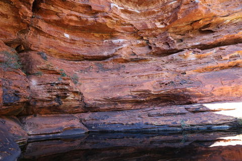Kings Canyon Day Trip From Ayers Rock - Accommodation Resorts 16