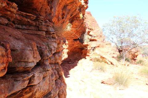 Kings Canyon Day Trip From Ayers Rock - Accommodation Resorts 20